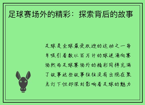 足球赛场外的精彩：探索背后的故事